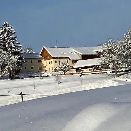 Mattheishof Apartment *