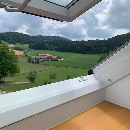 Apartament Mattheishof Grafenau (Bavaria)