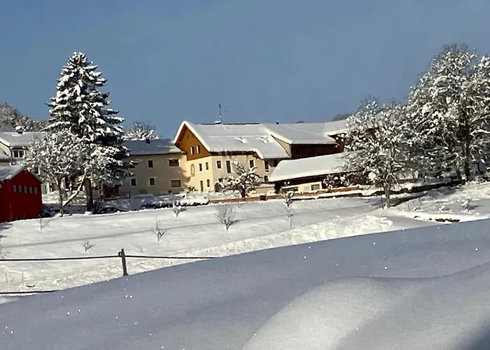 Mattheishof Apartmán *