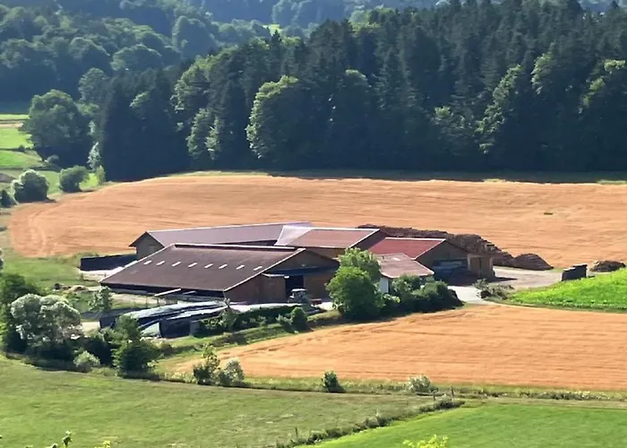 Mattheishof Apartmán